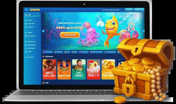 Discover spinfin login
